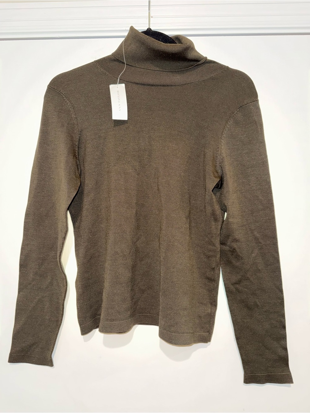 Ann Taylor silk blend turtleneck NWT